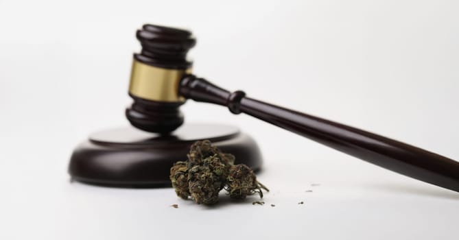 Close-up of cannabis herb buds and gavel as symbol of legalization of marijuana. Legal use of hemp in medicine, smoke for health. Cbd, herb, weed concept