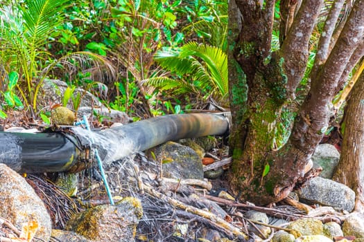 Large water pipe that goes tropical jungle in Naithon Beach Sakhu Thalang on Phuket island Thailand in Southeastasia Asia.
