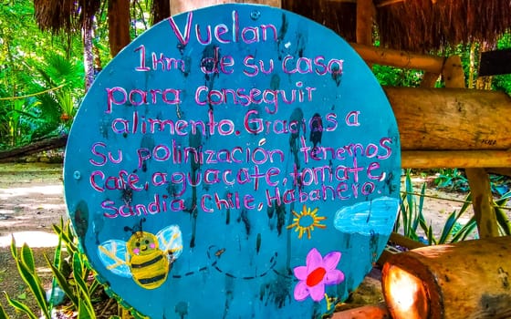 Colorful park signs sign and information about melipona bee bees in Playa del Carmen Quintana Roo Mexico.