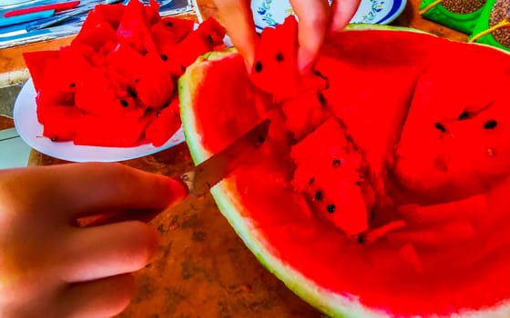 Cutting and eating watermelon in Playa del Carmen Quintana Roo Mexico.