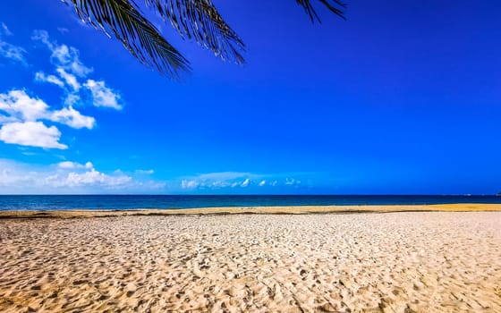 Tropical mexican caribbean beach landscape panorama with clear turquoise blue water and palm trees palms tree in Playa del Carmen Quintana Roo Mexico.