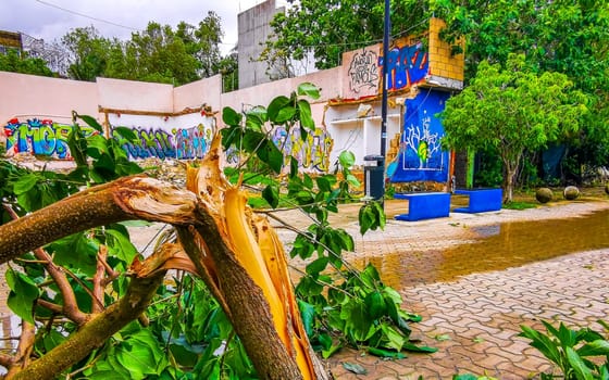 Playa del Carmen Quintana Roo Mexico 05. July 2024 Hurricane Beryl extreme wind storm and thunderstorms causing destruction and devastation broken trees palm trees streets cars roofs houses.