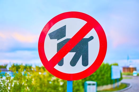 Dog prohibition sign. No Dogs Allowed In the Park Sign.
