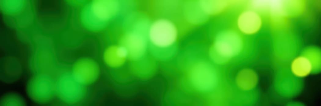 A striking display of green bokeh lights brings a sense of calm and tranquility to the natural environment, enhancing the beauty of the surroundings.