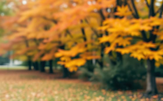 Fall colors paint the scenery with shades of orange and yellow as leaves blanket the ground in a serene park. Trees stand tall against a clear sky, enhancing the peaceful atmosphere.