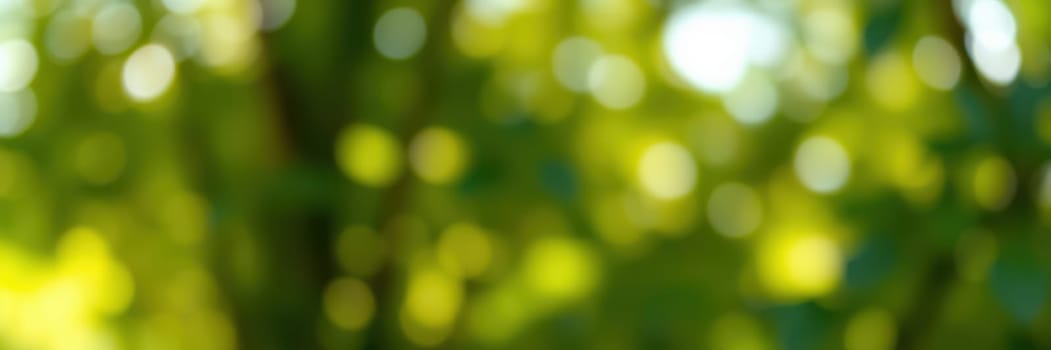 Soft, diffused light creates a serene bokeh effect with vibrant green tones. This setting invites peaceful thoughts and a connection to nature.