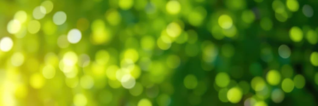 Sunlight softly filters through a lush canopy of green leaves, creating a serene atmosphere filled with light and gentle bokeh effects. The scene captures the beauty of nature.