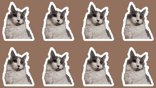 collage cat Funny cat's heads on Mocha Mousse background. Seamless repeating pattern. Digital collage.