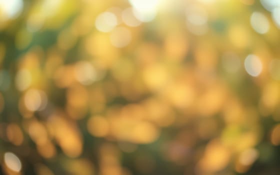 Golden and orange leaves sway gently in the breeze, creating a warm and vibrant atmosphere. The sunlight filters through, enhancing the beauty of the scene in the afternoon.
