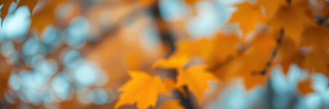 Bright orange leaves capture the essence of fall in a serene forest. Sunlight filters through branches, illuminating the foliage and enhancing the seasonal beauty.