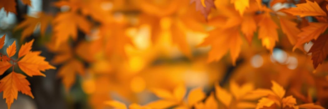 Orange leaves fill the scene, showcasing the beauty of autumn in a tranquil outdoor environment. The sunlight enhances the warm hues, inviting reflection and appreciation.