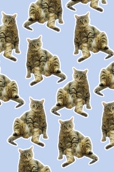 collage cat Funny cat's heads on blue background. Seamless repeating pattern. Digital collage.
