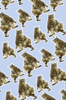 collage cat Funny cat's heads on blue background. Seamless repeating pattern. Digital collage.
