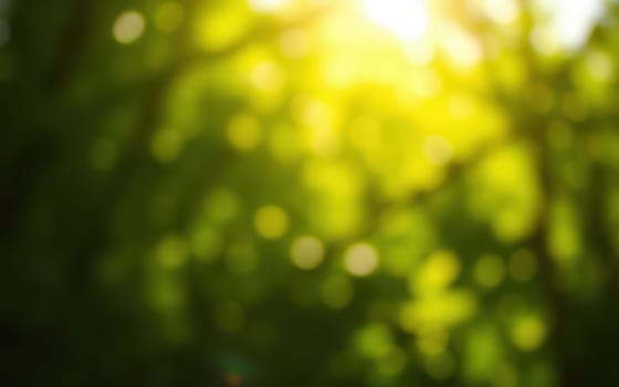 Bright golden light streams through a dense canopy of vibrant green foliage, creating an enchanting and tranquil atmosphere in the forest during morning hours.