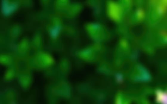 Lush greenery fills the scene, with various shades of green displaying a rich texture. Natural light enhances the ambiance, creating a peaceful atmosphere perfect for reflection.