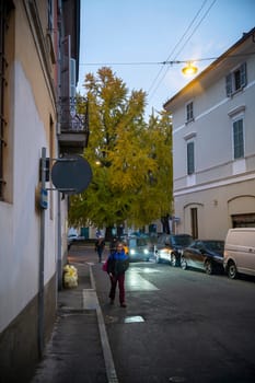 Lombardy, Italy - November 20th 2024 Woman walking on a sidewalk next to a ginkgo biloba tree with yellow leaves in autumn