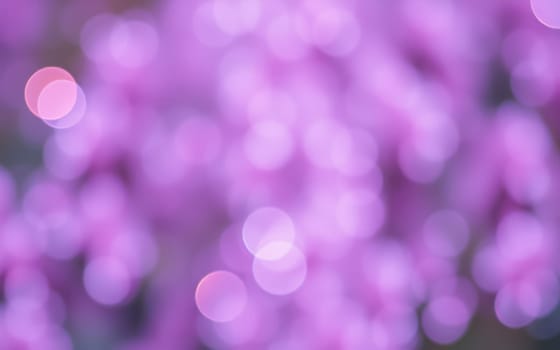 Delicate purple lights shimmer softly, creating a dreamy ambiance. This enchanting view immerses onlookers in a vibrant atmosphere, evoking summer bliss at twilight.