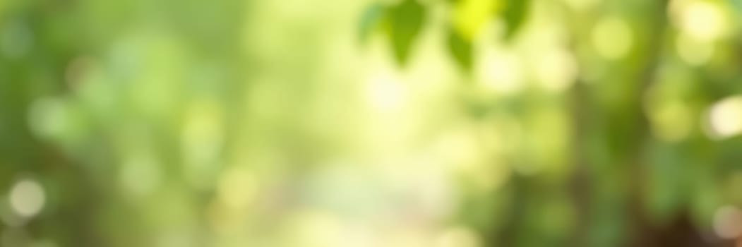 Sunlight cascades down through vibrant green leaves, illuminating a serene forest pathway. The fresh air and peaceful atmosphere invite a leisurely stroll amidst nature.