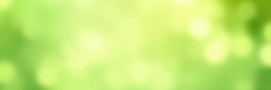 Bright green background features a soft blur with a bokeh effect, created by sunlight filtering through lush foliage during a sunny day, evoking a serene and vibrant atmosphere.