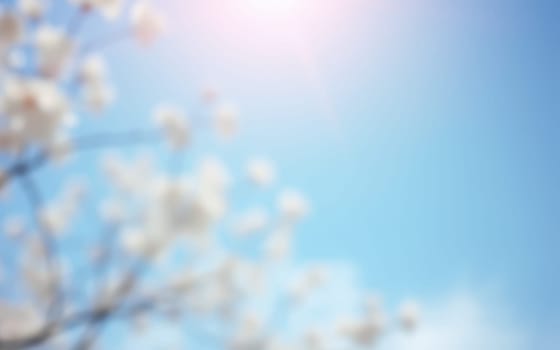 Delicate white blossoms gently sway against a vibrant blue sky illuminated by bright sunlight, showcasing a serene springtime atmosphere.