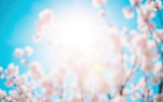 Delicate pink cherry blossoms are illuminated by the warm sunlight against a vibrant blue sky, creating a serene spring atmosphere filled with natural beauty.