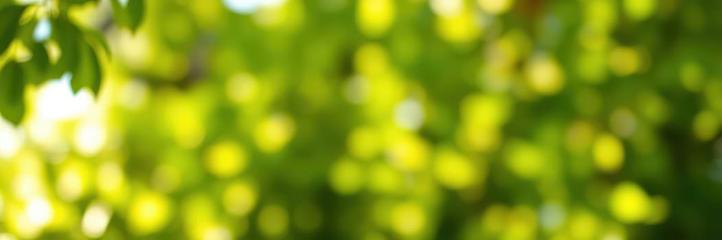 Sunlight filters through lush green leaves, creating a serene atmosphere that invites relaxation and contemplation in a natural setting during the day.