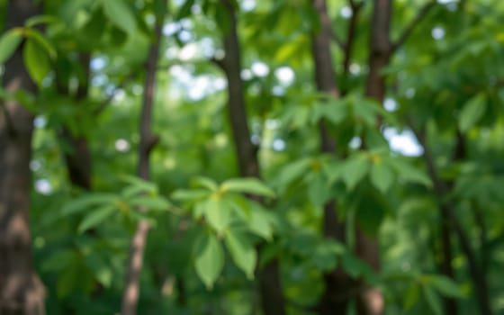 Thick green leaves create a vibrant canopy in a summer forest, capturing the beauty of nature as sunlight filters through the trees, adding depth to the scene.