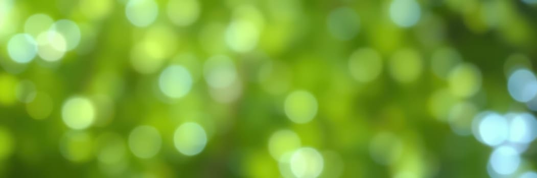 Bright sunlight filters through vibrant green leaves, creating a soft bokeh effect. This tranquil scene captures the beauty of nature in a peaceful outdoor environment.