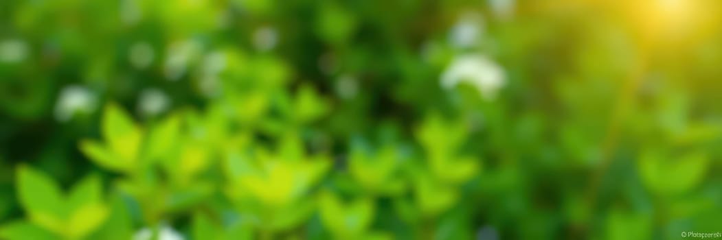 Sunlight filters through vibrant green leaves in a tranquil setting, casting soft shadows and highlighting the beauty of nature. Nearby, a gentle stream adds to the peaceful ambiance.