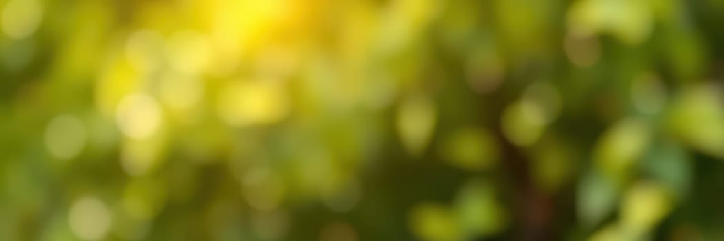 Sunlight spills through lush green foliage, creating a tranquil atmosphere perfect for relaxation or a quiet stroll in nature on a beautiful afternoon.