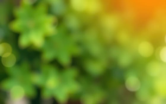 Sunlight filters through vibrant green leaves, providing a peaceful and rejuvenating ambiance. The scene showcases nature's beauty in a tranquil outdoor environment.