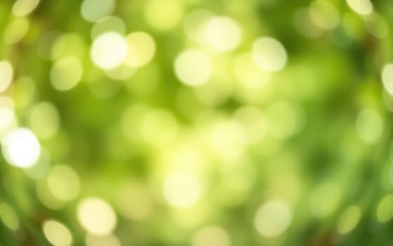 Sunlight streams through lush green foliage, creating a pleasing bokeh effect. This serene outdoor scene captures nature's vibrant colors and calm atmosphere, inviting relaxation.