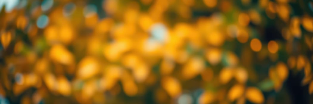 Glowing orange and yellow leaves fill the frame in a beautiful blur, capturing the essence of autumn foliage illuminated by warm afternoon sunlight.