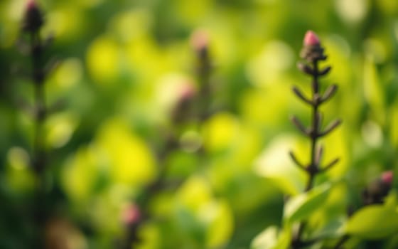 Focusing on lush, green foliage in a garden, delicate budding flowers emerge, showcasing the vibrancy of nature during late spring, filled with life and growth.