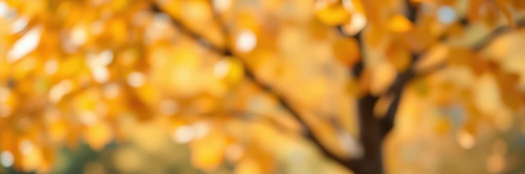 A stunning display of golden autumn leaves fills the trees in a peaceful park. The soft light highlights the seasonal beauty, inviting visitors to enjoy nature's vibrant colors.