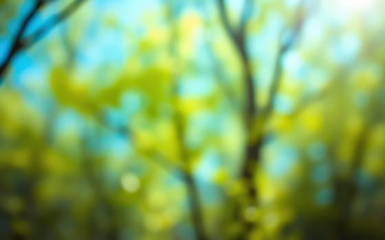 Bright sunlight filters through a lush canopy of green leaves in a serene forest, creating a gentle play of light and color that enhances the tranquil atmosphere.