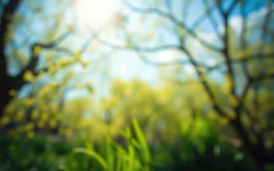Sunlight streams through the branches of trees, illuminating vibrant green leaves and gentle grasses in a serene park. The air feels fresh, signaling the arrival of spring.