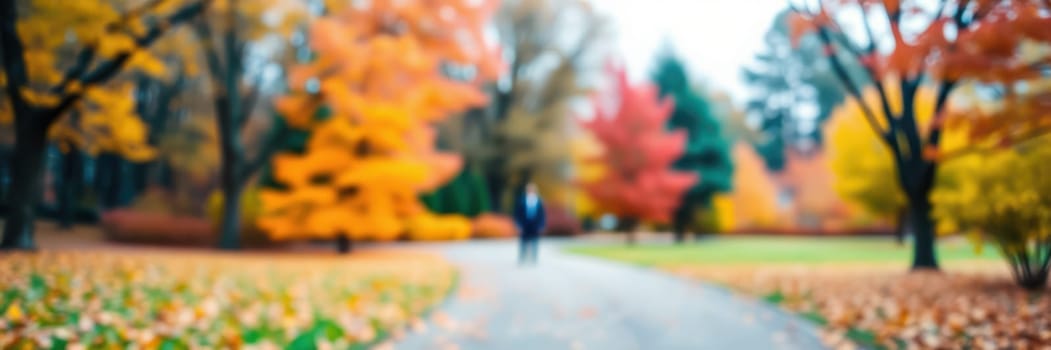 Vibrant fall leaves create a stunning backdrop in a peaceful park. The winding path invites visitors to explore amid warm autumn colors and gentle breezes.