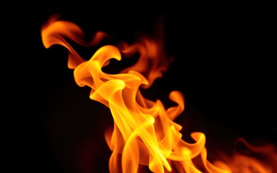 Flames flicker and twist gracefully in the darkness, illuminating the surroundings with a warm, golden hue. The fire radiates energy and warmth, captivating the viewer.