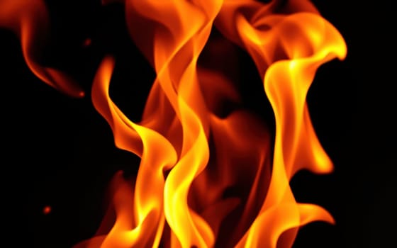 Bright, dynamic flames swirl and flicker against a dark background, creating an enchanting display of warmth and movement that captivates the viewer.
