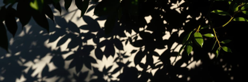 Shadows of vibrant green leaves create intricate patterns on a light-colored surface, showcasing the beauty of sunlight filtering through foliage on a calm afternoon.