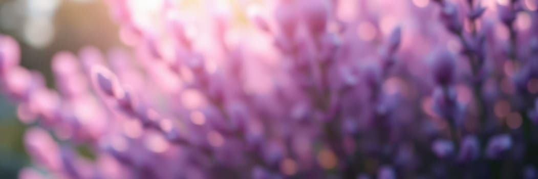 Lavender flowers fill the foreground, bathed in warm sunlight during the golden hour. The soft focus enhances the beauty of the purple petals creating a serene atmosphere.