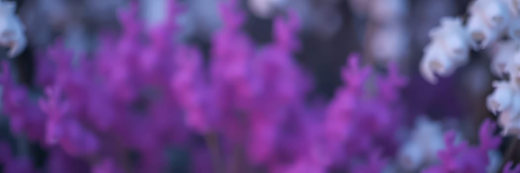A serene garden filled with blooming flowers creates a colorful landscape. Purple and white blossoms sway gently in the spring breeze, reflecting soft sunlight.
