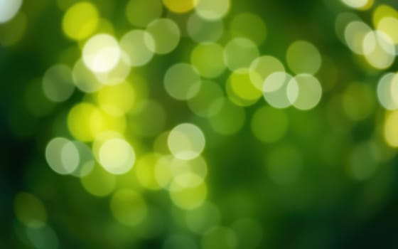 Sunlight creates a stunning bokeh effect as it filters through vibrant green leaves in a serene forest. The play of light and shadow enhances the natural beauty of the scene.