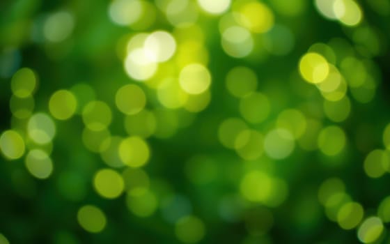 Various shades of green blur together to form a peaceful bokeh effect, illuminated by natural light, providing a calming and refreshing atmosphere in a tranquil environment.