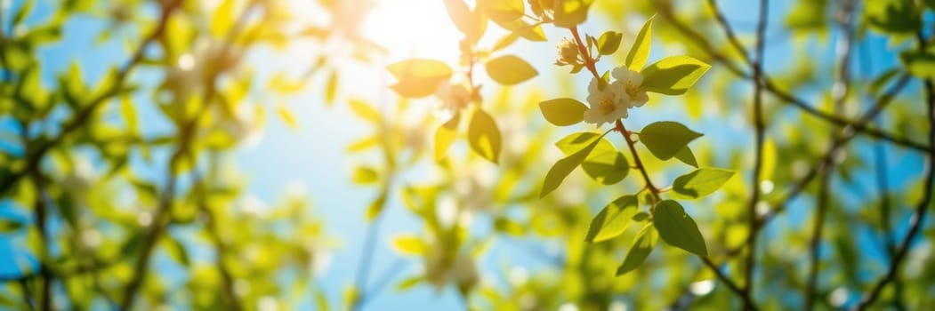 Bright sunlight shines through vibrant green leaves, creating a serene atmosphere filled with the essence of spring. Delicate flowers peek through the foliage, enhancing the beauty.