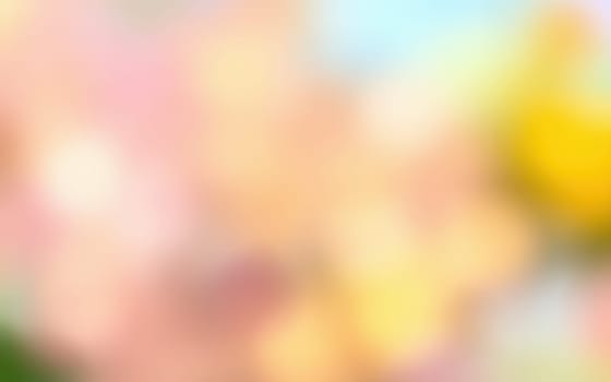 Brightly colored flowers bloom in a lush garden, showcasing shades of pink, yellow, and orange under the sun, creating a lively and cheerful spring environment.