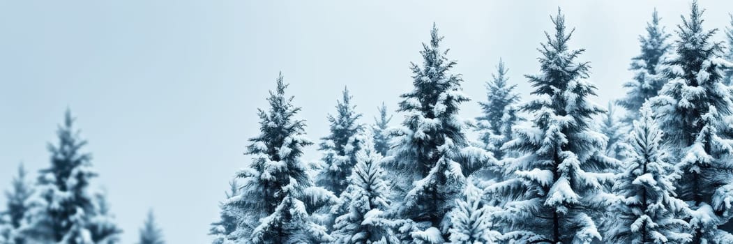 A dense group of pine trees coated in fresh snow creates a serene winter atmosphere. The sky above is clear, enhancing the peacefulness of the scene as sunlight filters through.