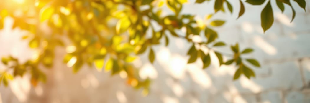 Sunlight streams through lush green leaves, casting gentle shadows on a light-colored surface. This serene moment captures the beauty of nature in a peaceful environment.