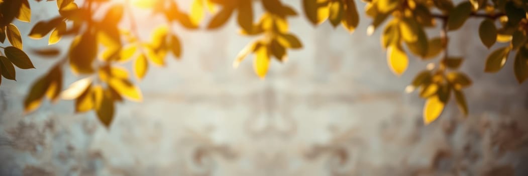 Sunlight filters through golden leaves, casting a warm glow in a peaceful outdoor space. The calm atmosphere invites relaxation and reflection amidst nature.
